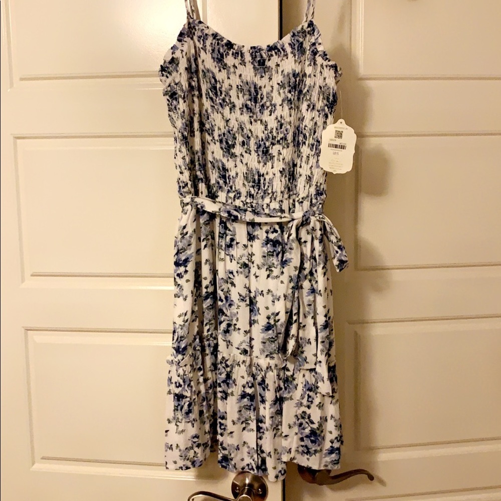 Alter’d State Blue and White Floral Dress